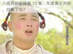 八戒网剧在线看 10 集：年度最火网剧，你看了吗？