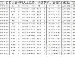 实名认证号码大全免费：快速获取认证信息的捷径