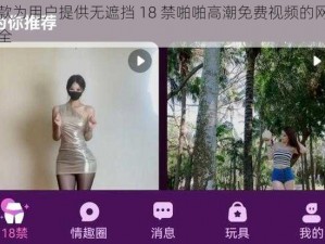 一款为用户提供无遮挡 18 禁啪啪高潮免费视频的网站大全