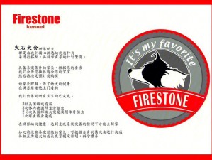 firestone 记牌器官网：火石记牌器，带你飞