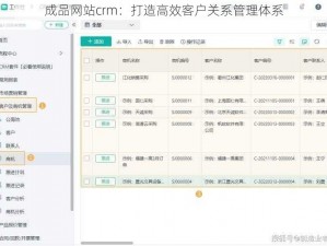 成品网站crm：打造高效客户关系管理体系