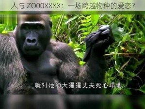 人与 ZO00XXXX：一场跨越物种的爱恋？