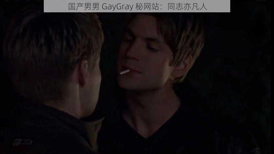 国产男男 GayGray 秘网站：同志亦凡人