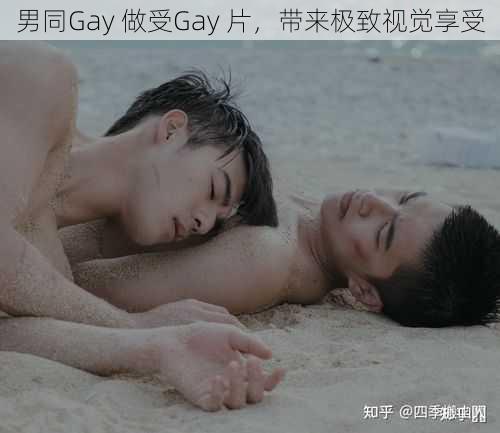 男同Gay 做受Gay 片，带来极致视觉享受