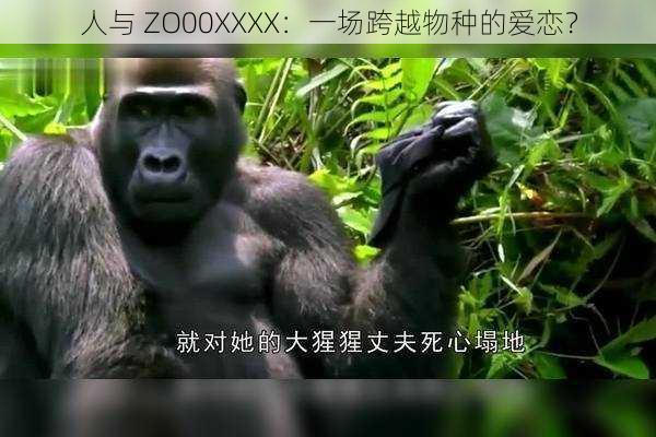 人与 ZO00XXXX：一场跨越物种的爱恋？