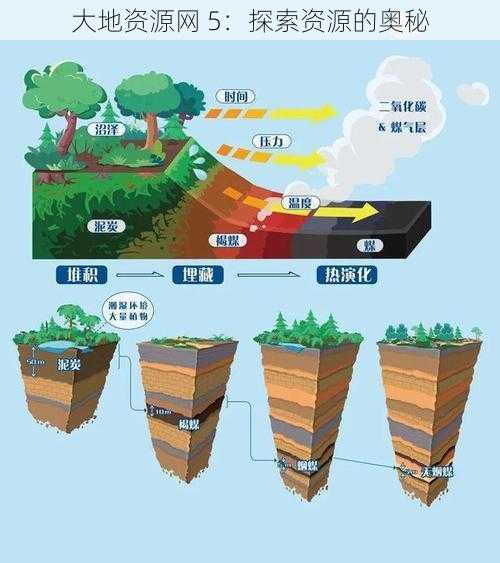 大地资源网 5：探索资源的奥秘