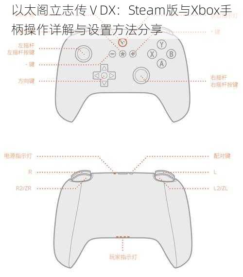 以太阁立志传ⅤDX：Steam版与Xbox手柄操作详解与设置方法分享