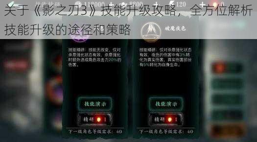 关于《影之刃3》技能升级攻略，全方位解析技能升级的途径和策略