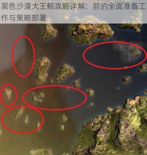 黑色沙漠大王鲸攻略详解：前的全面准备工作与策略部署