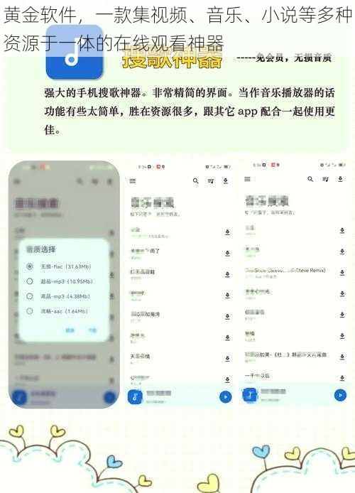 黄金软件，一款集视频、音乐、小说等多种资源于一体的在线观看神器