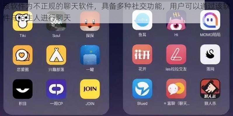 该软件为不正规的聊天软件，具备多种社交功能，用户可以通过该软件与陌生人进行聊天