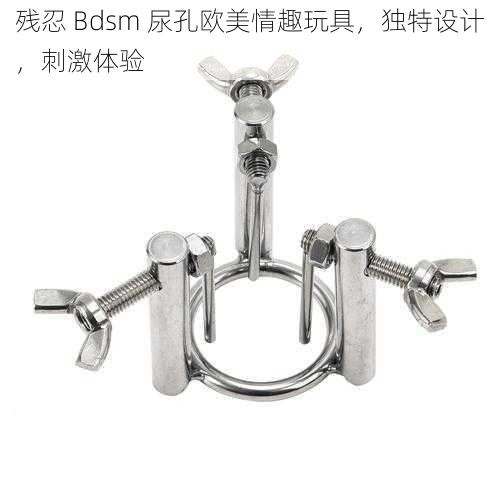 残忍 Bdsm 尿孔欧美情趣玩具，独特设计，刺激体验