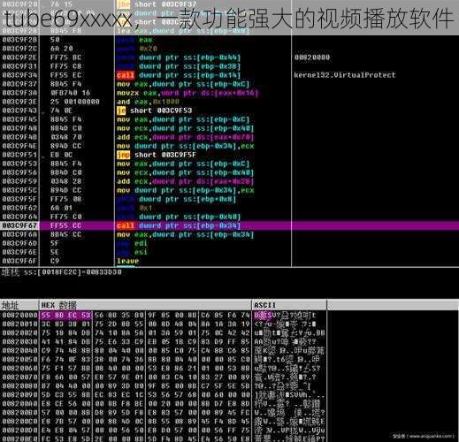 tube69xxxxx，一款功能强大的视频播放软件