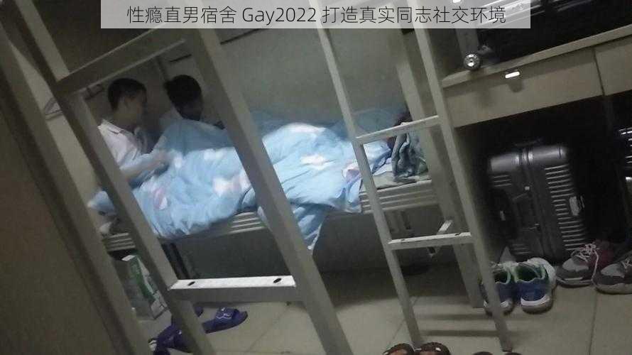 性瘾直男宿舍 Gay2022 打造真实同志社交环境