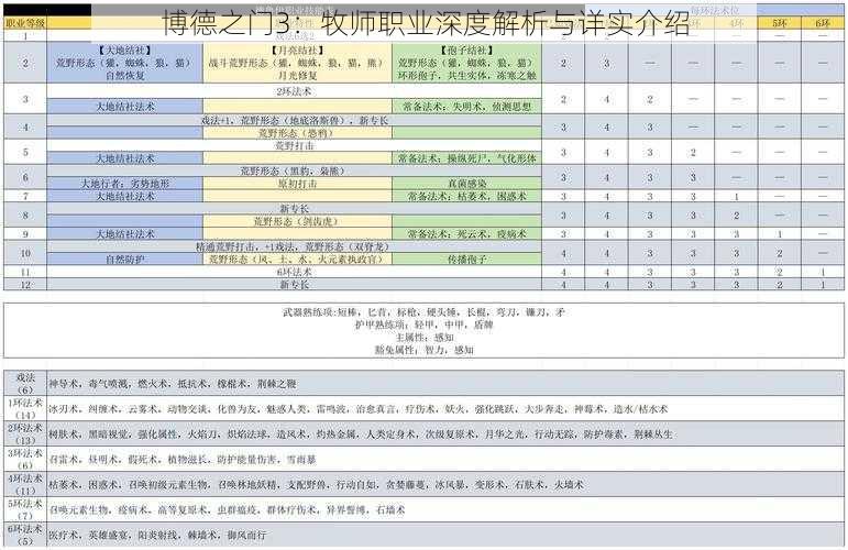 博德之门3：牧师职业深度解析与详实介绍