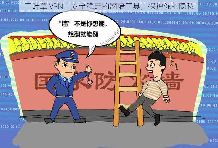 三叶草 VPN：安全稳定的翻墙工具，保护你的隐私