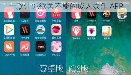 一款让你欲罢不能的成人娱乐 APP